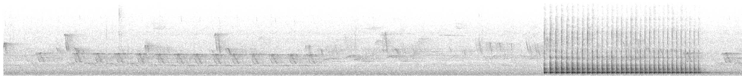 Pileated Woodpecker - ML657010566