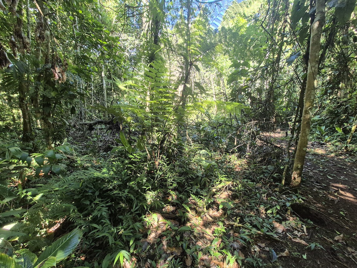 null - ML657015726