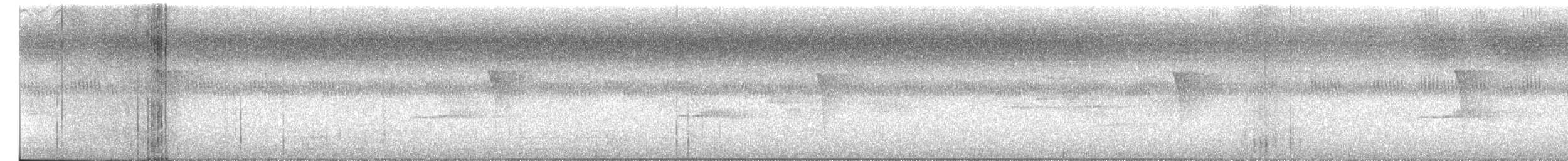 Western Wood-Pewee - ML657016044
