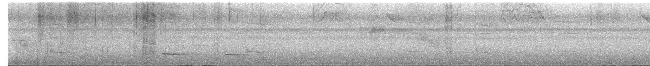 Black-faced Antthrush - ML657016355