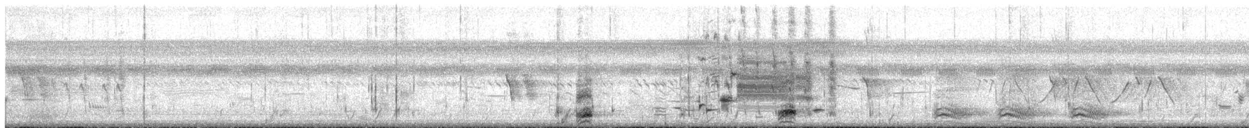 אנפת לילה - ML657016713