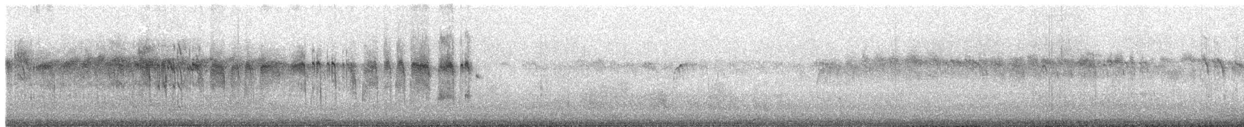 Andean Swift