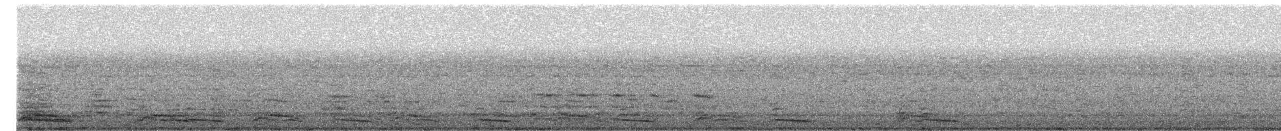 Kelp Gull - ML657026582