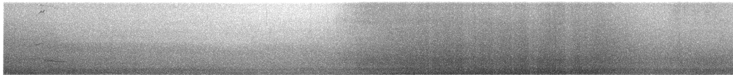 Gray Gull - ML657026794