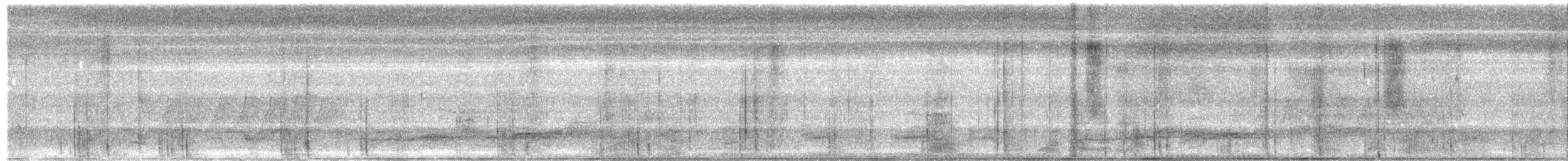 Fairy Pitta - ML657027530