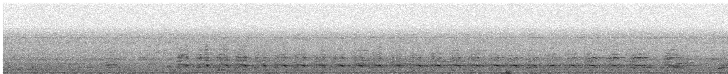 Kelp Gull - ML657027736