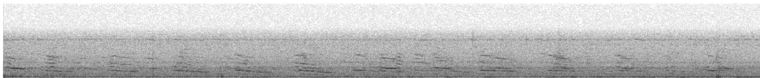 Kelp Gull - ML657028308