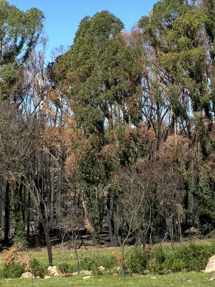 null - ML657047666
