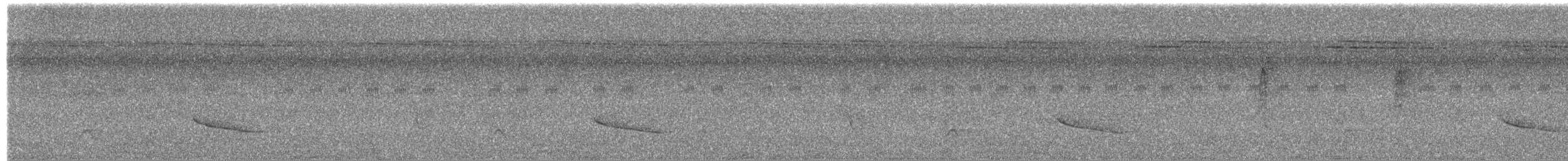 Tordina de Horsfield - ML657052657