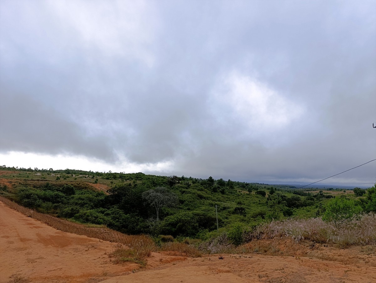 null - ML657054232
