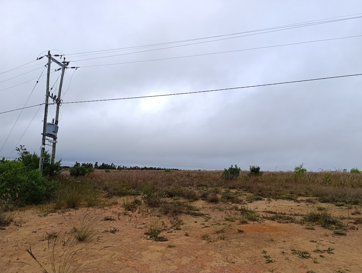 null - ML657054233