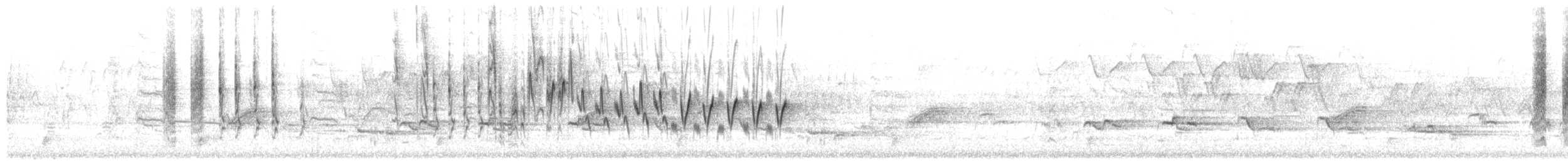 Northern House Wren (Northern) - ML657063912