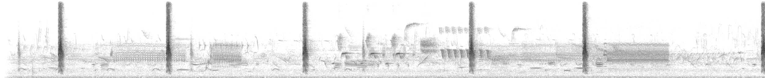 שחרורית אדומת-כנף - ML657078790