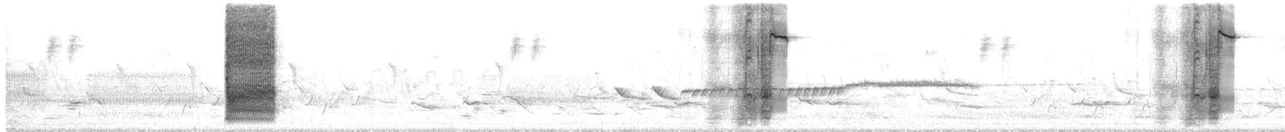 Common Grackle - ML657078839