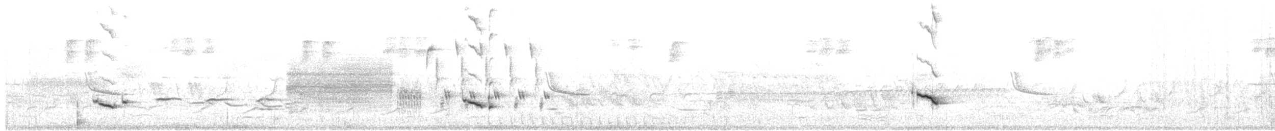 פזאי צפוני - ML657078910