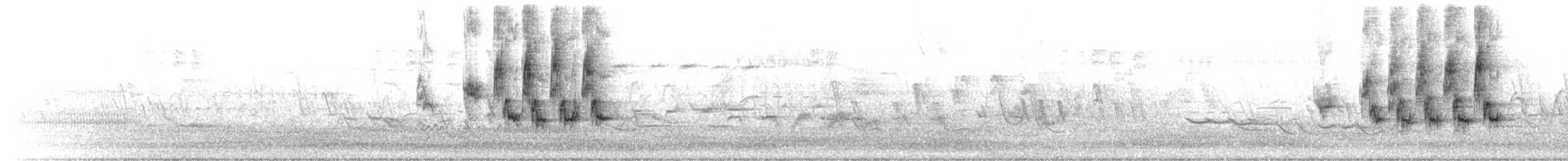 דיקסיסל - ML657078957