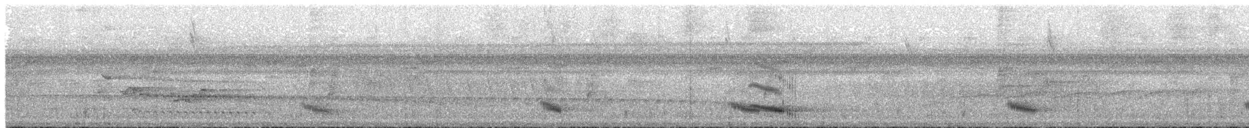 Channel-billed Toucan - ML65708741
