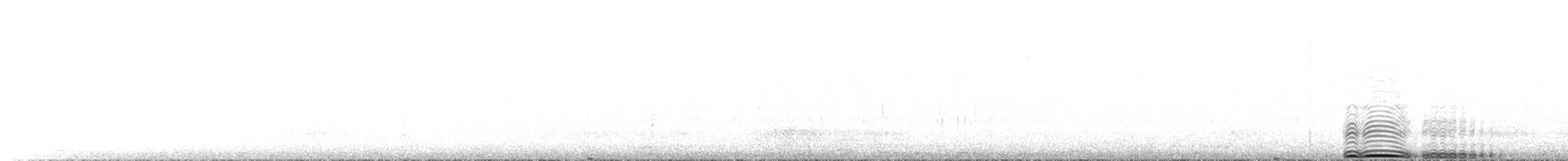 Búho Magallánico - ML657111444