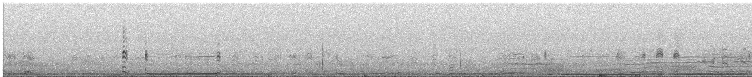Petrel de las Juan Fernández - ML657111505