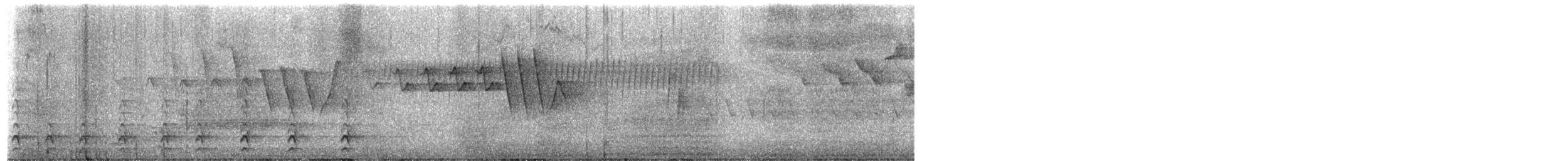 Pileated Woodpecker - ML657119767
