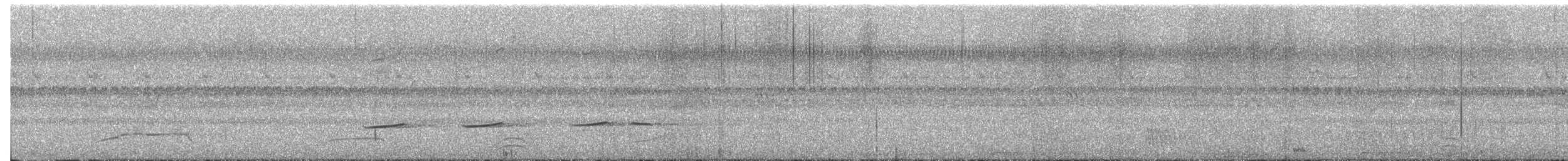 Striped Cuckoo - ML657123951