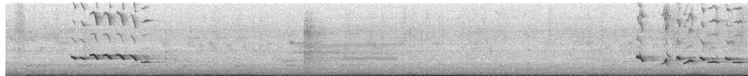 Baltimore Oriole - ML657134323