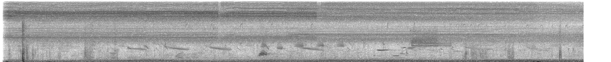 אנפת לילה - ML657139225