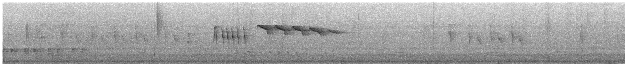 Pin-tailed Manakin - ML657141075