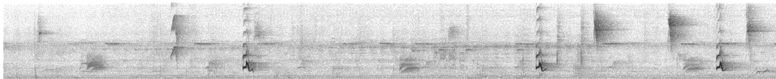 Swallow-tailed Manakin - ML657141332