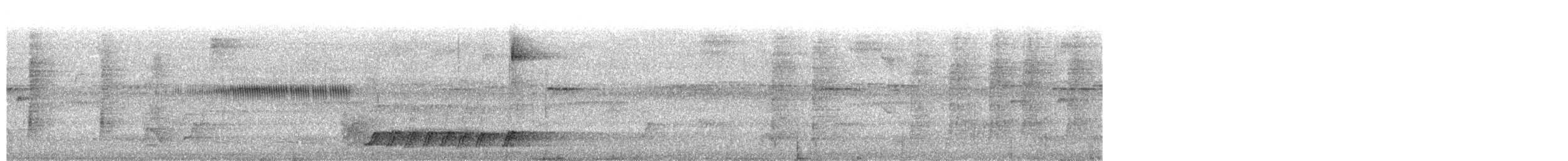 Short-tailed Antthrush - ML657141364