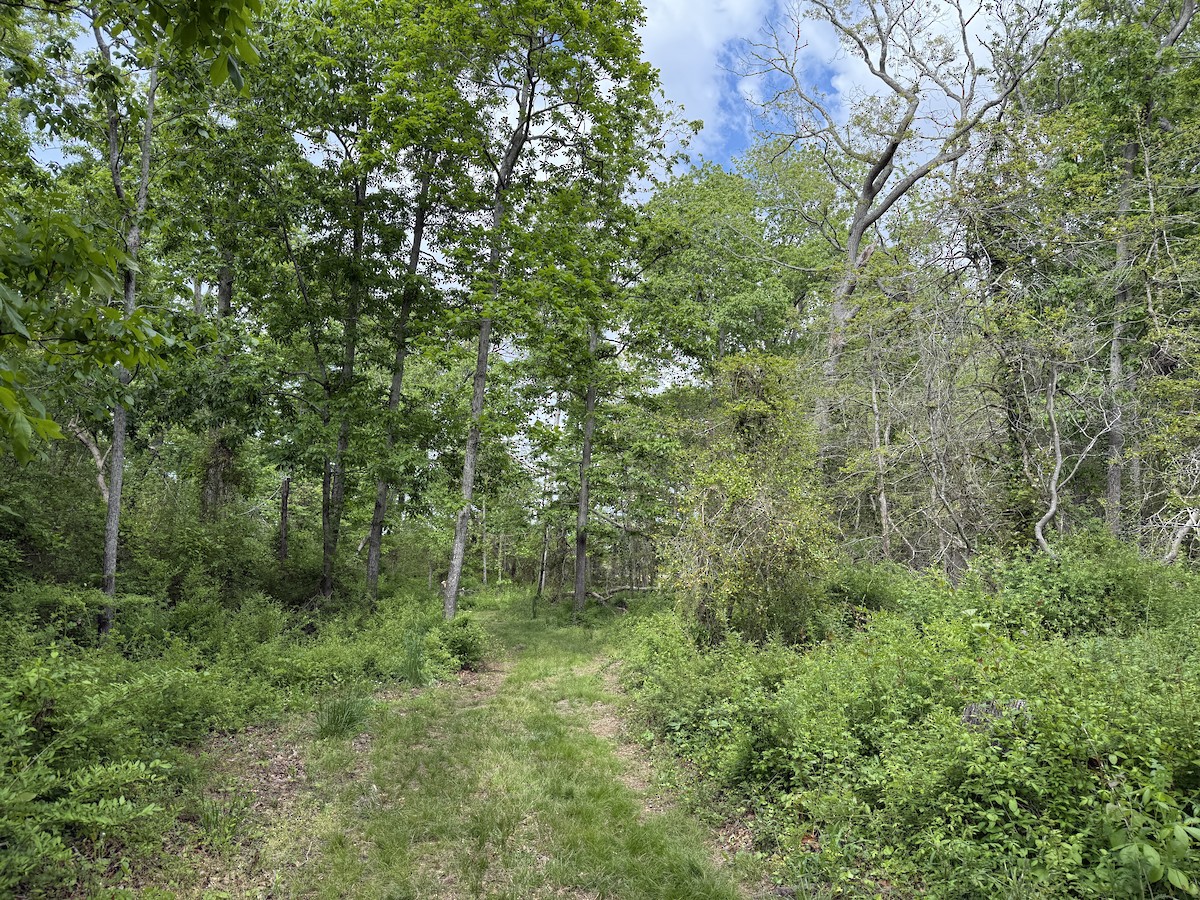 null - ML657141847