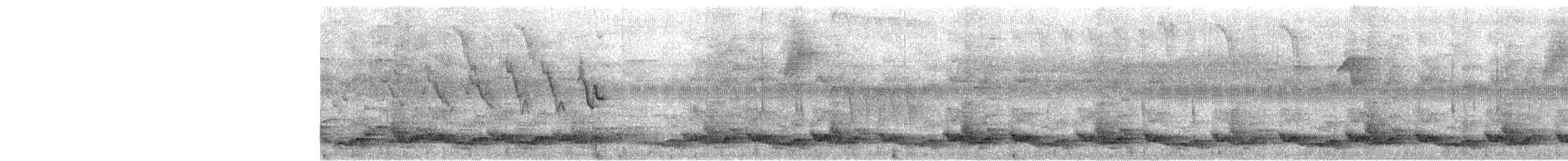 Corcovado Pechinegro - ML657155583