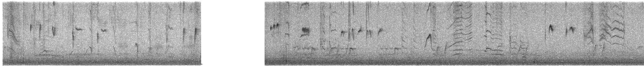 nordmyggsmett (obscura gr.) - ML657158891