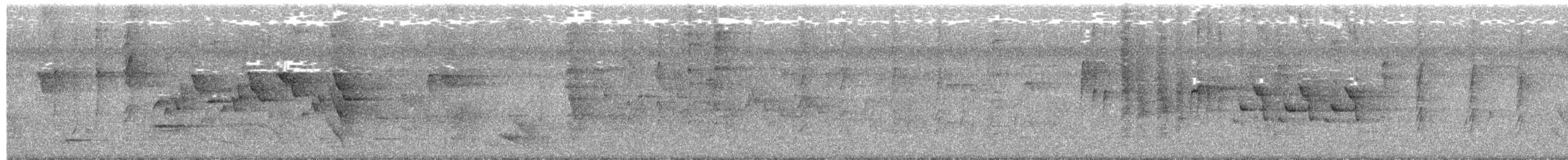 Tropical Scrubwren - ML657169598
