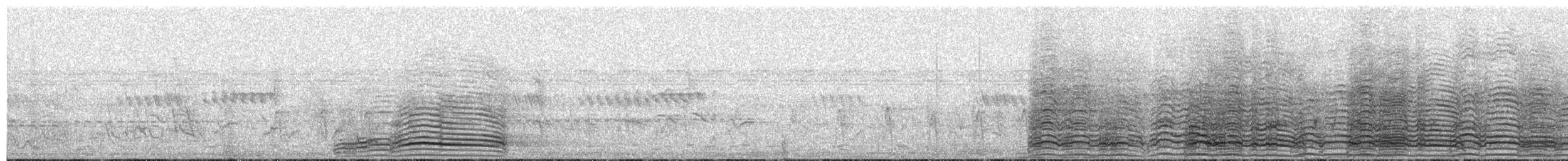 Хагедаш - ML657174247