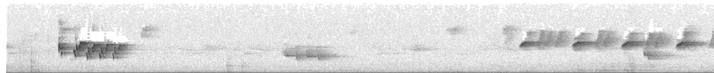 ravineflueskvett - ML657176864