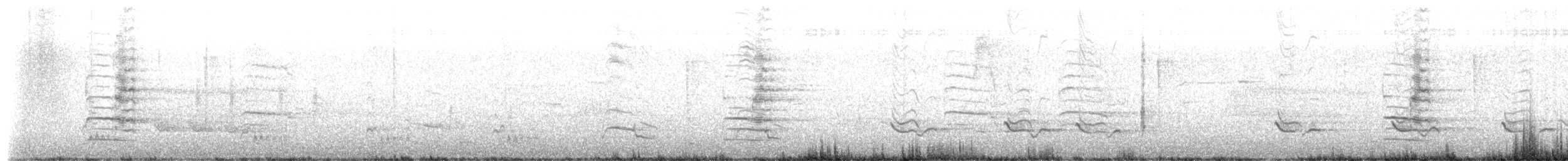 Northern Mockingbird - ML657184336