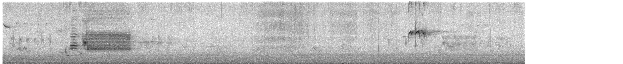 Solitary Sandpiper - ML657184838
