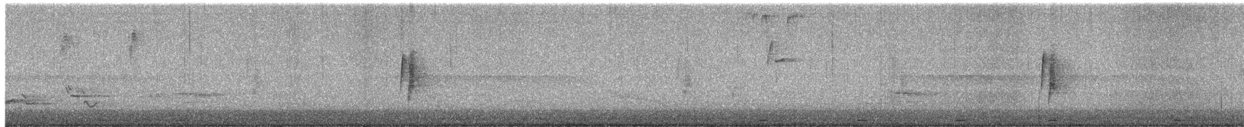 Least Flycatcher - ML657188783