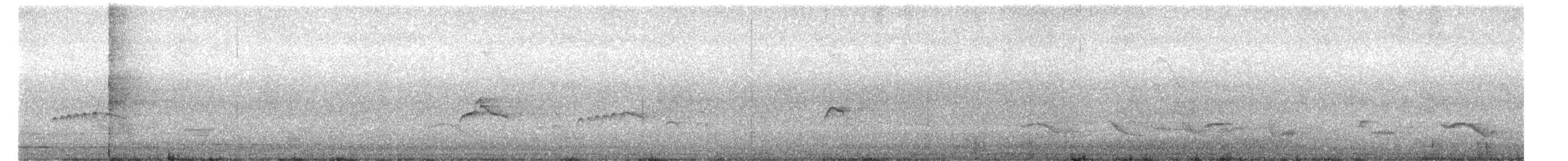Piratic Flycatcher - ML657193347