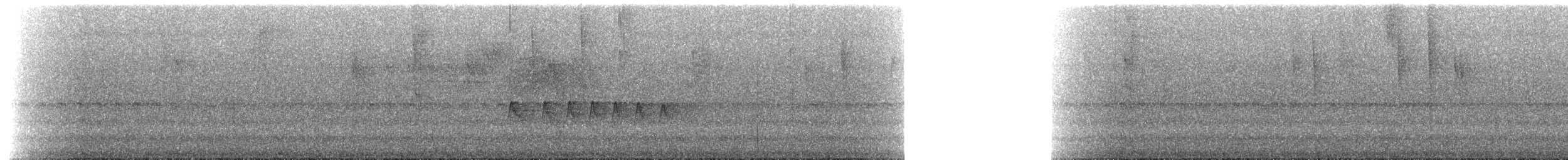 Red-billed Tyrannulet - ML657198604