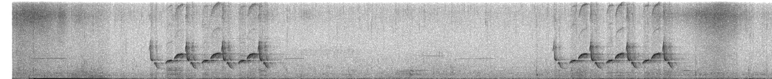Carolina Wren - ML657207748