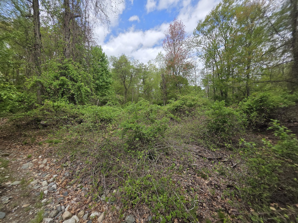 null - ML657210647