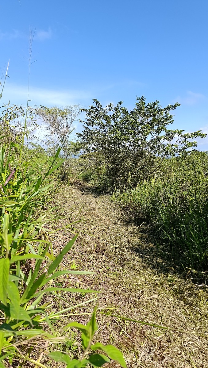 null - ML657236869