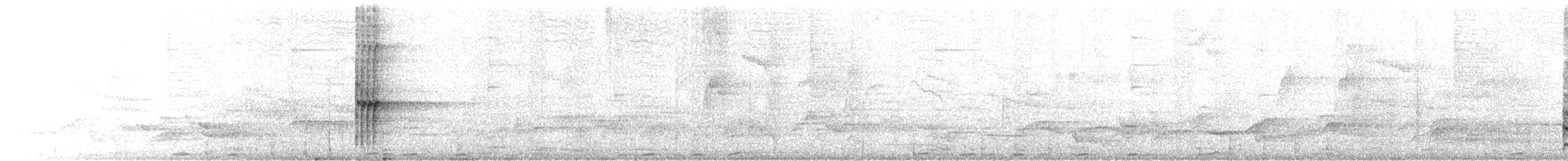 Great-tailed Grackle - ML657244513