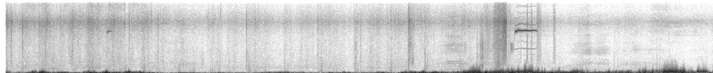 Brewer's Blackbird - ML657266037