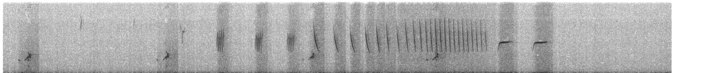 Streifenrückenammer - ML657278322