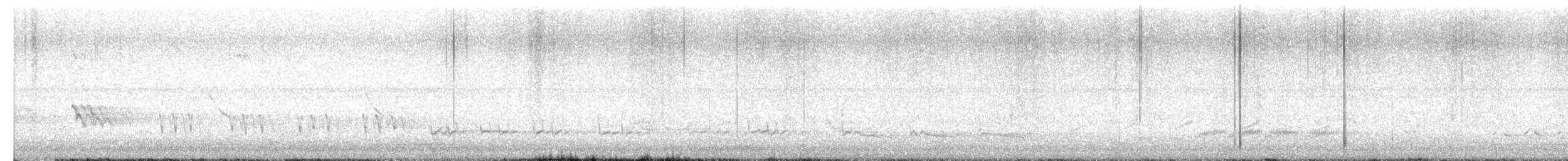 Northern Mockingbird - ML657282487