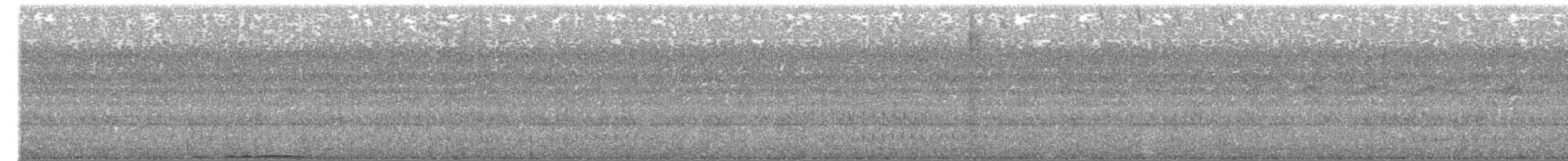 puštík hnědý - ML657282723