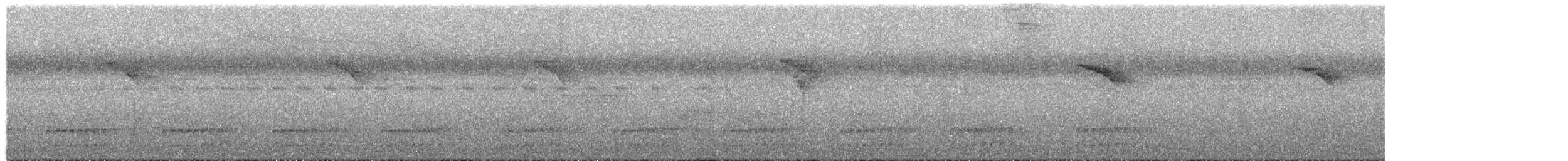 Tatama Tapaculo - ML657282832